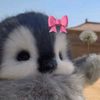 xxxx.tenkiu_xd