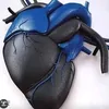 lollobattistini