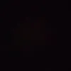 bibi__523