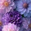rose.damas52