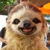 funandpositivefee