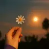 __ana_le_f
