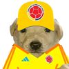 camilojuan37