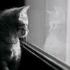 lovely__054