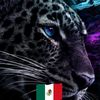 jaguarxd25