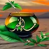 user2132387484197