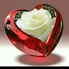 user5816620551052