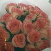 abdizhappar_aliya