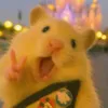 embee_dong