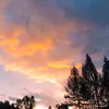 gwiazdeczka_33