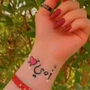 user8737279219657