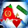 selemawi.beyene