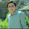 billo0181