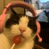 whannahbeyours2