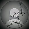 .koky588