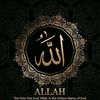 user241034976