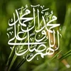 user81155058544042