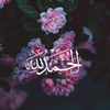amalhussin23