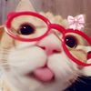 rsywonluckygirl_
