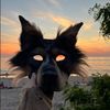 dakotaonpaws5