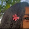 lishugirl99