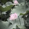 _iempechuotnhat_