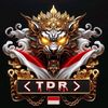 tdr_bot