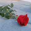 user6961605044462
