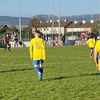 calvin_carrig