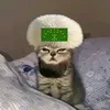 shamurse_07