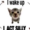nt3ns3nv3nt1on