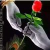 bablu19413