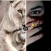 lbwshams