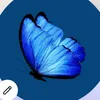 user58261236108681