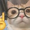 gugu.gaga.miaw