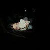 alice_dej8