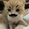 aalsoie
