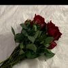 user9325167159786