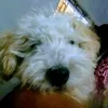 yanina.360
