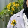 alissar017