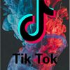 مشهور التيك توك