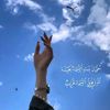 noor714612