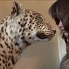 ثـ 🐆