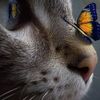 ana.huidobro1