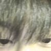 mr_wang___