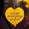 user8268350976999