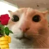 gabrielcasarin5