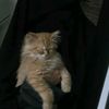 _salma_2008_09