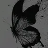 lari_duarte_19