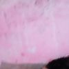 lauramarero5